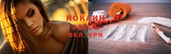 хмурый Верея
