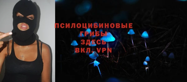 СК Верхний Тагил