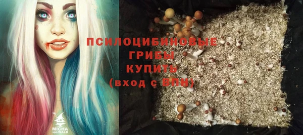 хмурый Верея