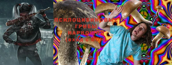 шишки Бронницы