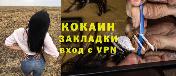 хмурый Верея