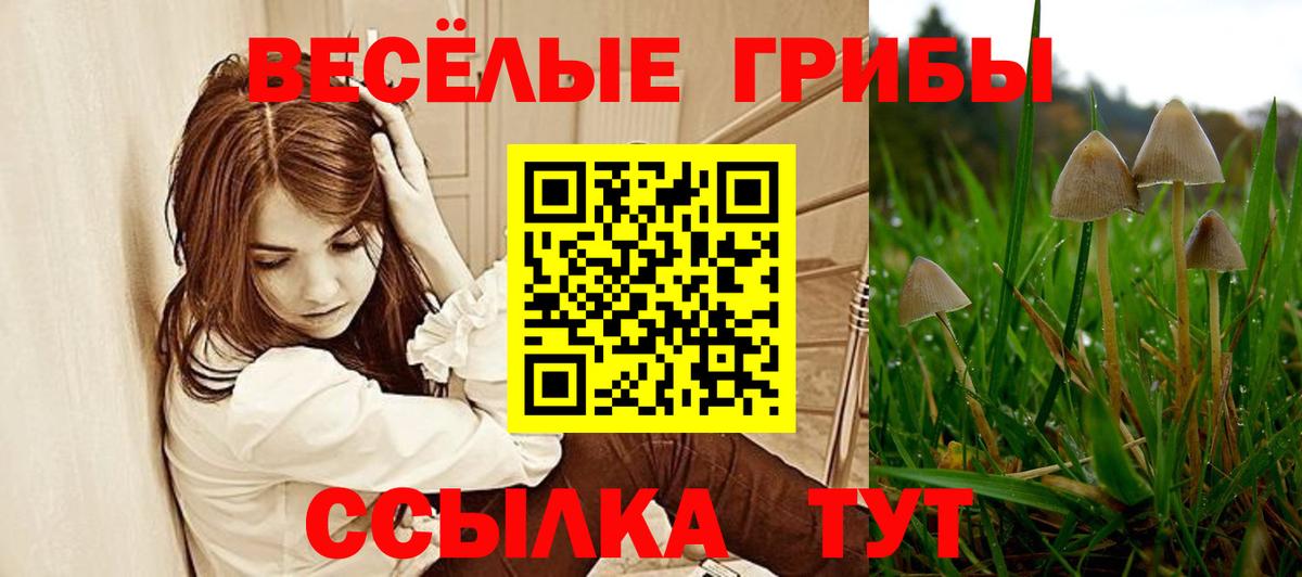Галлюциногенные грибы ЛСД  продажа наркотиков  Среднеуральск  Вход с VPN 
