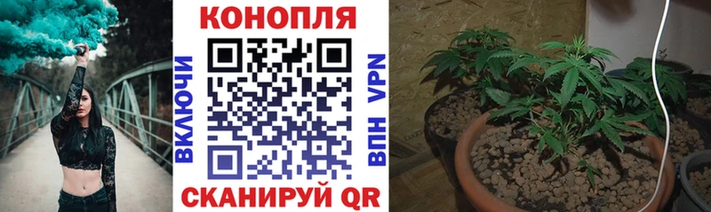 shop формула  Среднеуральск  Канабис ГИДРОПОН 